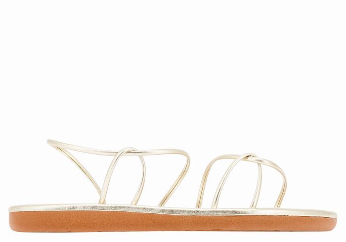 Sandales Bride Arrière Ancient Greek Sandals Proorismos   | BGC-3650965